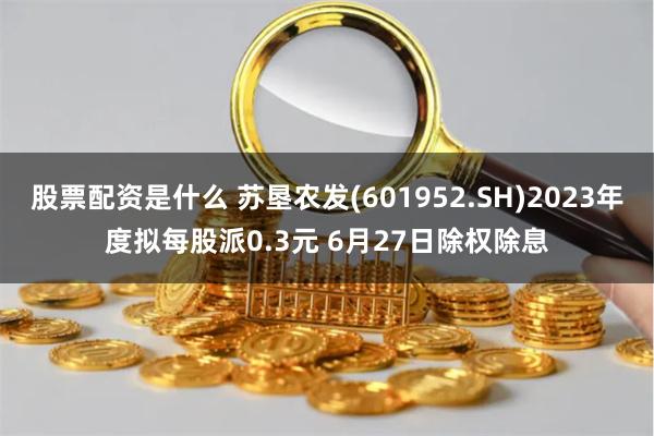 股票配资是什么 苏垦农发(601952.SH)2023年度拟每股派0.3元 6月27日除权除息