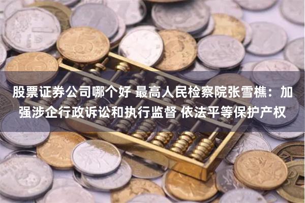 股票证券公司哪个好 最高人民检察院张雪樵：加强涉企行政诉讼和执行监督 依法平等保护产权