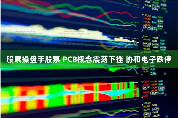 股票操盘手股票 PCB概念震荡下挫 协和电子跌停